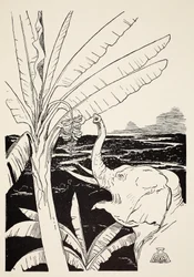 Sloní dítě se chystá strhnout banány z banánovníku poté, co získalo svůj krásný nový kmen, ilustrace z 